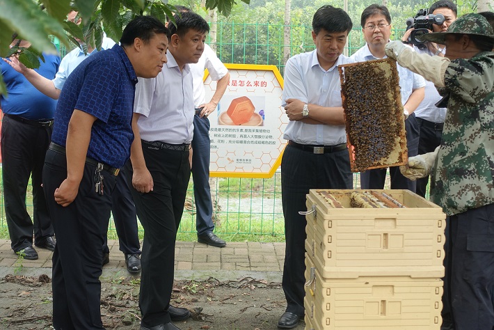 蓟州区委书记于立军赴孙各庄 满族乡调研